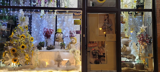 Floristería Isabel en Alcorcón