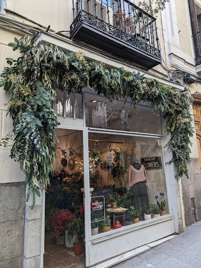 Adhoc Flores Floristería Madrid en Madrid