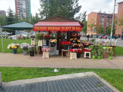 Flores de la Rosa en Madrid
