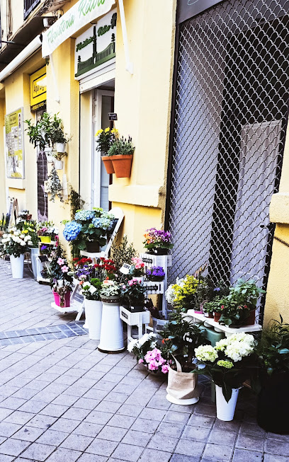 Floristería Retiro-Flores en el barrio Ibiza/Retiro/Salamanca en Madrid