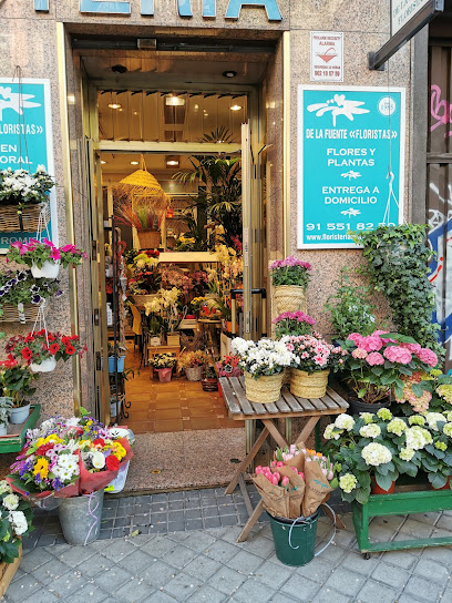 DE LA FUENTE Floristas en Madrid
