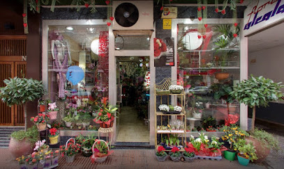 Flores Alcalá en Alcalá de Henares