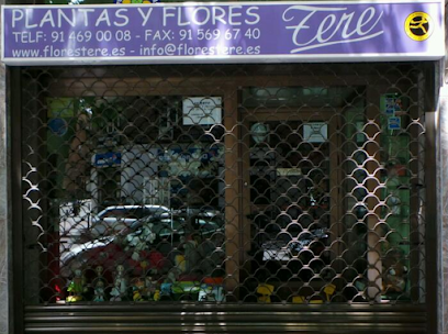 Flores Tere en Madrid