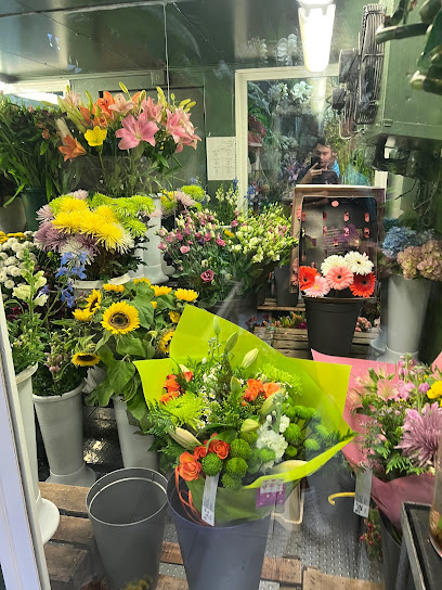 Las Camelias Diseño Floral en Alcorcón