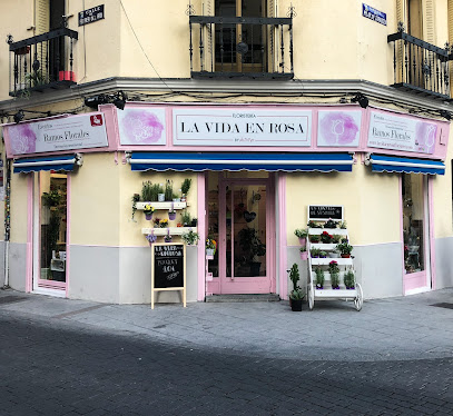 La Vida en Rosa Floristeria en Madrid