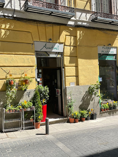 Andrés Flores y Plantas en Madrid
