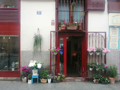 FLOR DE LOLA en Madrid